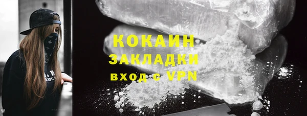 сатива Коряжма