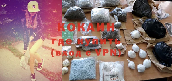 гидра Корсаков