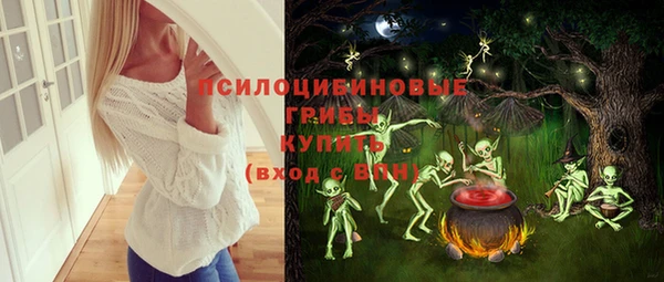 СК Козельск