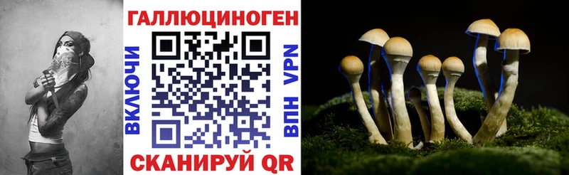 Псилоцибиновые грибы GOLDEN TEACHER  купить наркоту  Медвежьегорск 